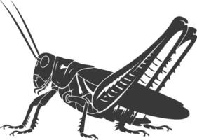 AI generated Silhouette grasshopper Insect animal black color only vector