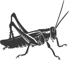 ai generado silueta saltamontes insecto animal negro color solamente vector