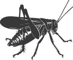 ai generado silueta saltamontes insecto animal negro color solamente vector