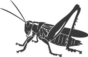 AI generated Silhouette grasshopper Insect animal black color only vector