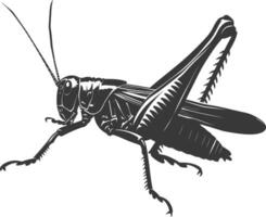 ai generado silueta saltamontes insecto animal negro color solamente vector