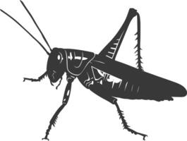 AI generated Silhouette grasshopper Insect animal black color only vector