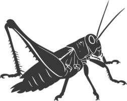 AI generated Silhouette grasshopper Insect animal black color only vector