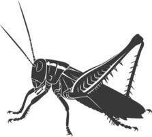 ai generado silueta saltamontes insecto animal negro color solamente vector