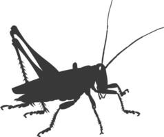 AI generated Silhouette grasshopper Insect animal black color only vector