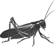 ai generado silueta saltamontes insecto animal negro color solamente vector