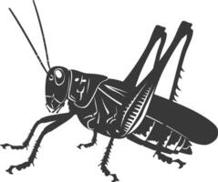 AI generated Silhouette grasshopper Insect animal black color only vector