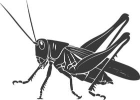 AI generated Silhouette grasshopper Insect animal black color only vector