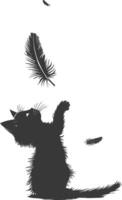 Silhouette kitten animal playing feather black color only vector