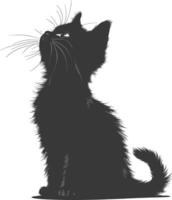 Silhouette kitten animal playing fur black color only vector