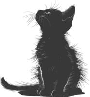 Silhouette kitten animal playing fur black color only vector