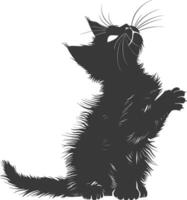 Silhouette kitten animal playing fur black color only vector