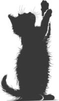 Silhouette kitten animal playing fur black color only vector