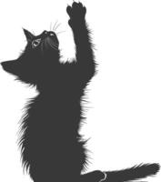 Silhouette kitten animal playing fur black color only vector