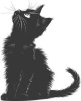 Silhouette kitten animal playing fur black color only vector