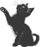 Silhouette kitten animal playing fur black color only vector