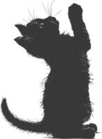 Silhouette kitten animal playing fur black color only vector