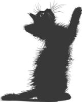 silueta gatito animal jugando piel negro color solamente vector