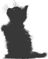Silhouette kitten animal playing woll roll black color only vector
