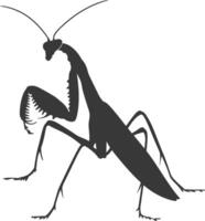 Silhouette mantis animal black color only full body vector