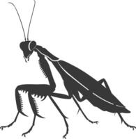 Silhouette mantis animal black color only full body vector