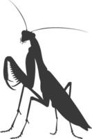 Silhouette mantis animal black color only full body vector