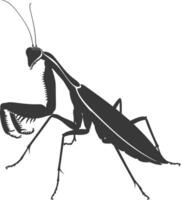 Silhouette mantis animal black color only full body vector