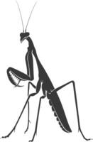 silueta mantis animal negro color solamente lleno cuerpo vector
