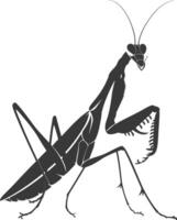 Silhouette mantis animal black color only full body vector