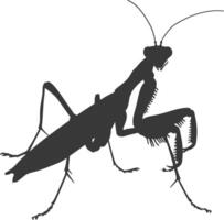 Silhouette mantis animal black color only full body vector