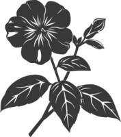 Silhouette periwinkle flower black color only vector