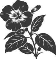 Silhouette periwinkle flower black color only vector