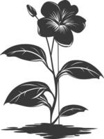 Silhouette periwinkle flower in the ground black color only vector