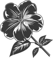 Silhouette periwinkle flower black color only vector