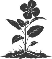 Silhouette periwinkle flower in the ground black color only vector