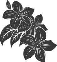 Silhouette plumeria flower black color only vector