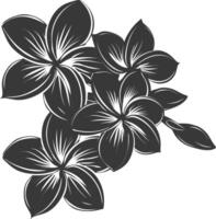 Silhouette plumeria flower black color only vector