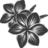 Silhouette plumeria flower black color only vector