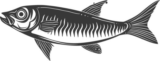 silueta sardina pescado animal negro color solamente lleno cuerpo vector