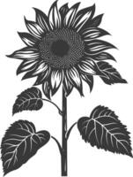 Silhouette sunflower flower black color only vector