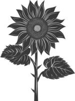 Silhouette sunflower flower black color only vector