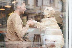 An outdoor shot of a man sitting with his dog in a pet-friendly cafe near window, golden retriever gives paw to visitor photo
