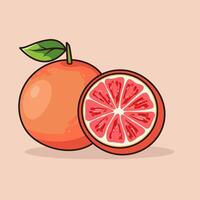 Two pairs of blood orange fruit illustration vector