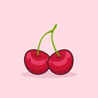 Two pairs of cherries fruit illustration vector
