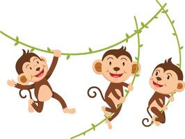 The monkey hangs on a branch isolated illustration vector