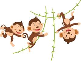 The monkey hangs on a branch isolated illustration vector