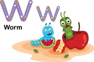 Alphabet Letter W-Worm with cartoon vocabulary illustration, vector