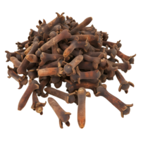 Dry Cloves on Transparent background - png