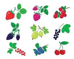 Set of different berries isolated on white background. Bright berry with leaves collection. vector