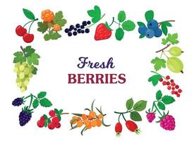 Organic summer berries and fruits with leaves frame vector